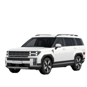 Hyundai Santa Fe SIGNATURE 12 Monate